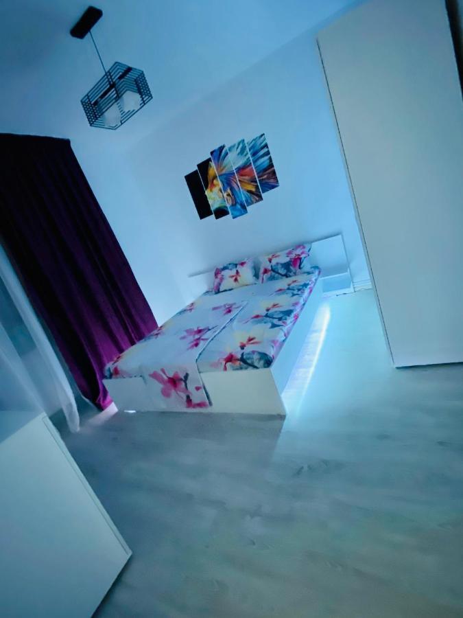 Antonia'S Apartment 콘스탄차 외부 사진
